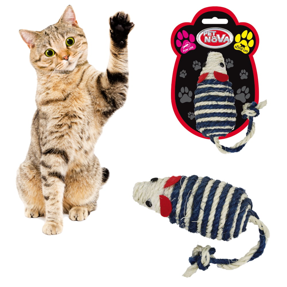 CAT-SISALMOUSE-5 3.jpg